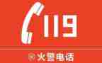 119主题的演讲稿6篇