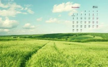 12月活动总结7篇
