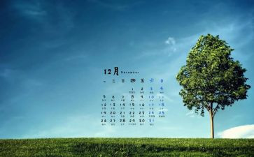 小班12月份工作计划6篇