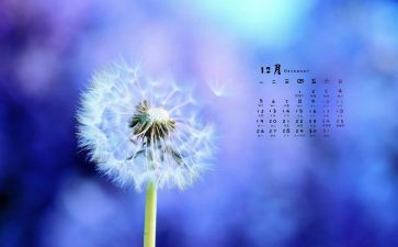 12月活动总结通用5篇