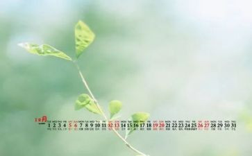 12月中班月工作总结6篇