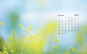 2024年大班12月工作总结6篇