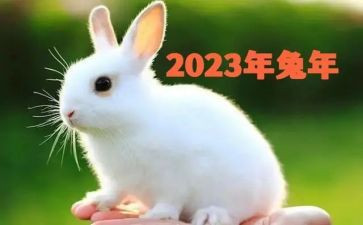 公司2023新年讲话稿8篇