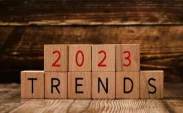 女职工2023工作计划5篇