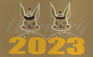 2023年政务的工作计划最新8篇