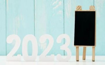 局个人2023年工作计划最新8篇