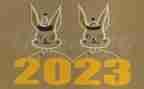 2023年政务的工作计划最新8篇