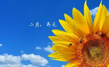 物业2月份工作计划6篇