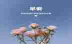 幼儿园小班3月份工作总结5篇