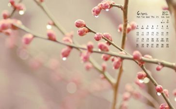 4月活动策划5篇