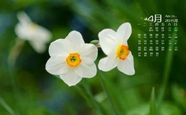 4月物业工作计划6篇