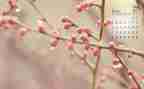 4月活动策划5篇