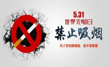 教师531工作计划优秀7篇