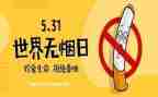 531培训心得体会范文推荐6篇