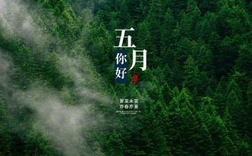 2024年幼儿园中班5月份工作计划8篇