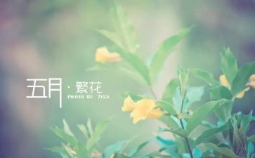 5月讲话稿7篇