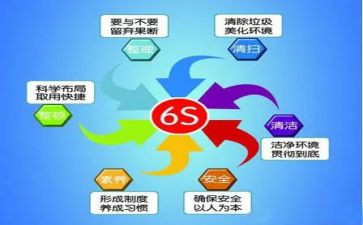 关于6s的心得体会8篇