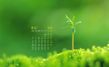 大班6月工作计划5篇