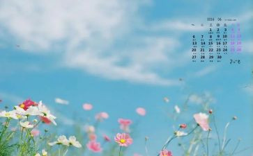 6月的心得参考7篇