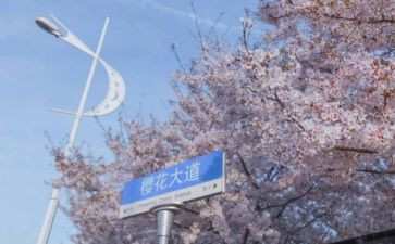 985学校毕业讲话稿6篇