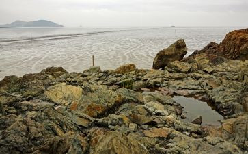 天蓝色的彼岸读后感5篇