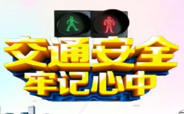 周安全活动总结优秀8篇