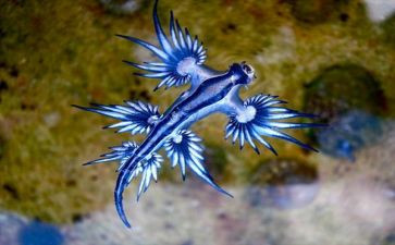 生物教学教研工作计划6篇