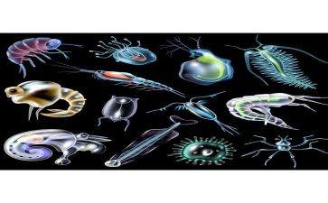 生物教师个人总结优质8篇
