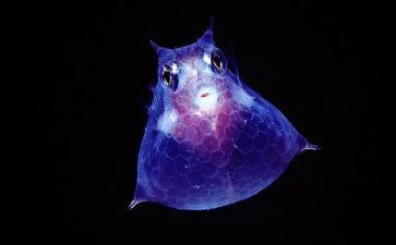 微生物大实验心得7篇