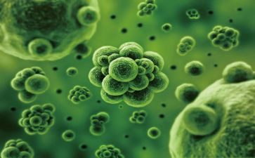 高二上学期生物教师工作计划7篇