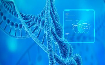 有关生物的工作计划8篇