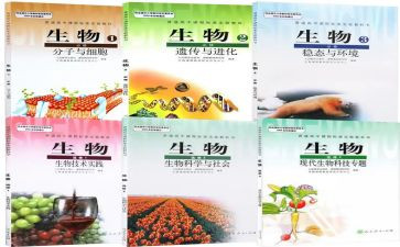 生物教师个人总结7篇