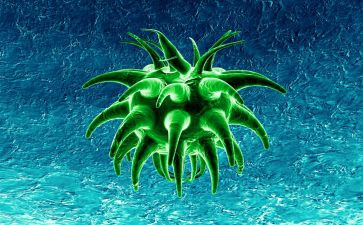 生物教师年度考核个人总结6篇