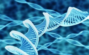 高中生物教师教学心得5篇
