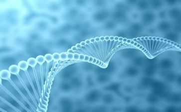 生物室工作计划参考6篇
