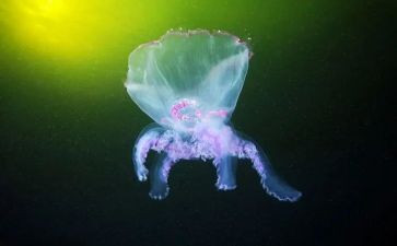 生物教师工作计划精选7篇