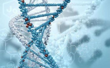 生物教师研修心得体会5篇