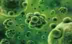 高二上学期生物教师工作计划7篇