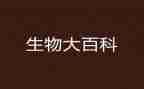 生物教学心得体会6篇
