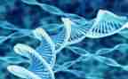 高中生物教师教学心得5篇