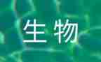 生物角的演讲稿6篇