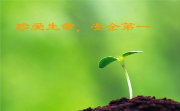 班级安全教育月总结8篇