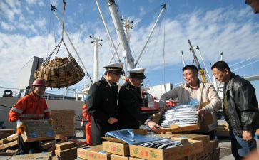 2024报关工作总结5篇