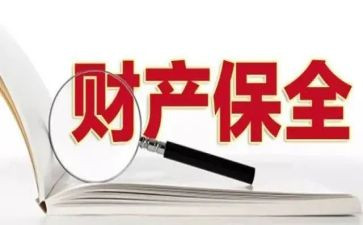 保全物执行申请书7篇