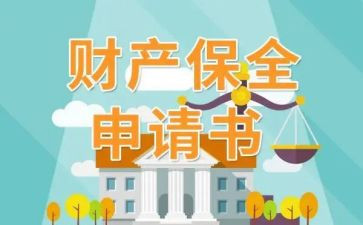 大保全申请书最新5篇
