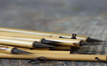 随笔作文500字5篇