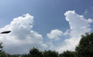 农村变化的调查报告7篇