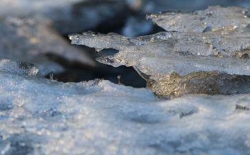 冰雪运动进校园的心得体会6篇