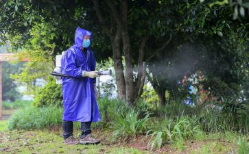 病媒生物防制的工作计划5篇