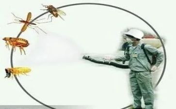 2024年病媒生物防治工作计划最新7篇